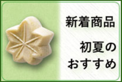 新着商品・初夏のおすすめ